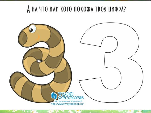 Презентация для занятий с дошкольниками математика цифра 3 + обучение грамоте звук у