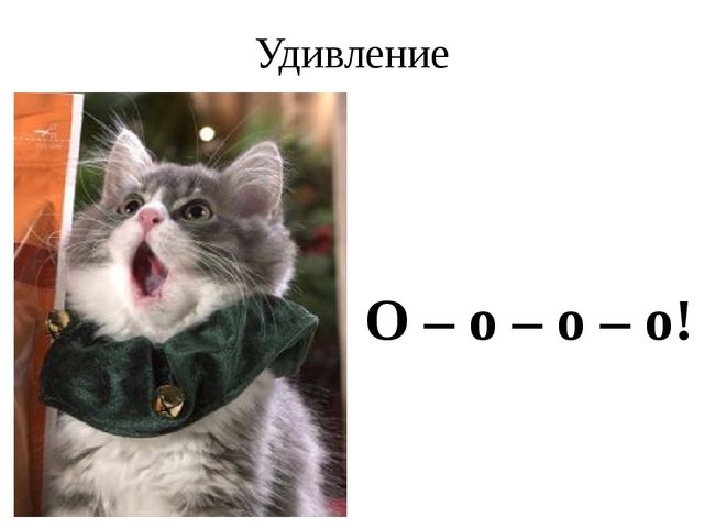 Презентация для занятий с дошкольниками математика цифра 3 + обучение грамоте звук у