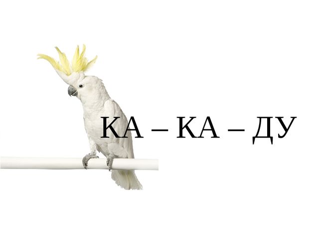 Презентация для занятий с дошкольниками математика цифра 3 + обучение грамоте звук у