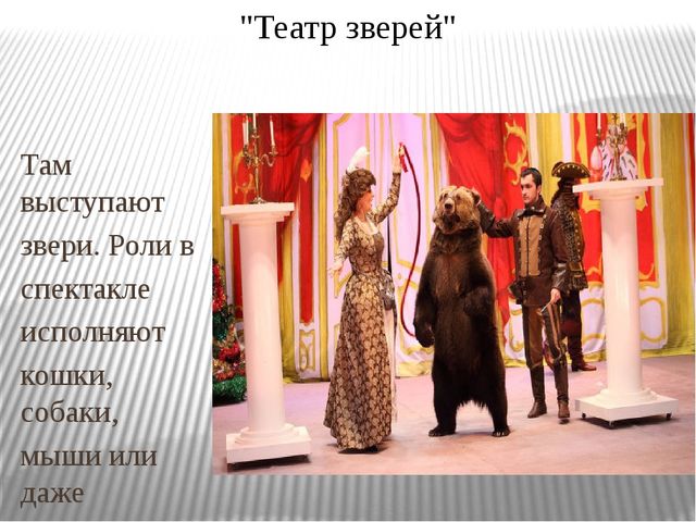 Презентация к конспекту занятия