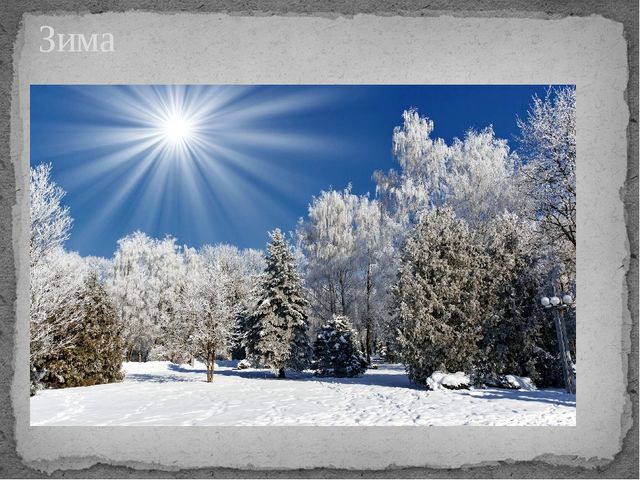 Презентация о временах года