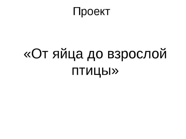 Презентация "От яйца до взрослой птицы"