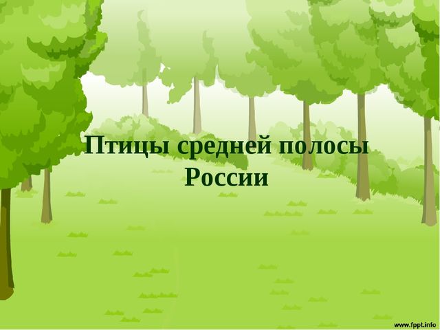 Презентация "Птицы средней полосы России"