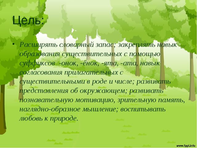 Презентация "Птицы средней полосы России"