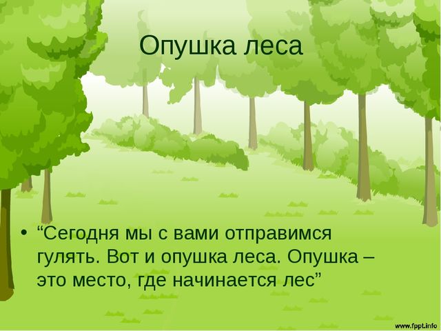 Презентация "Птицы средней полосы России"