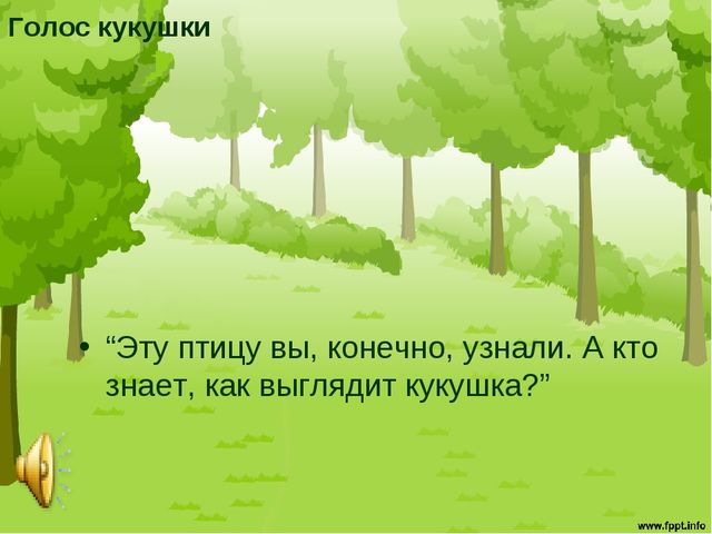 Презентация "Птицы средней полосы России"