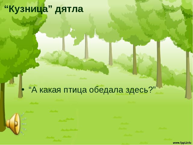 Презентация "Птицы средней полосы России"