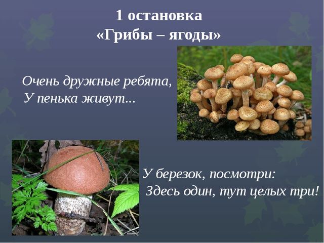 Презентация "Викторина "Знатоки природы"