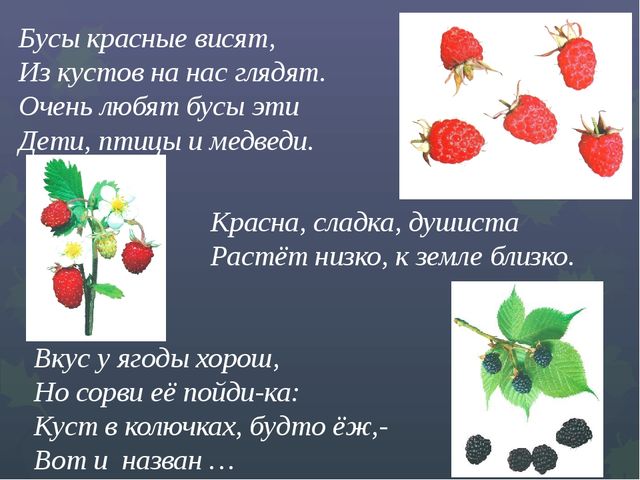 Презентация "Викторина "Знатоки природы"