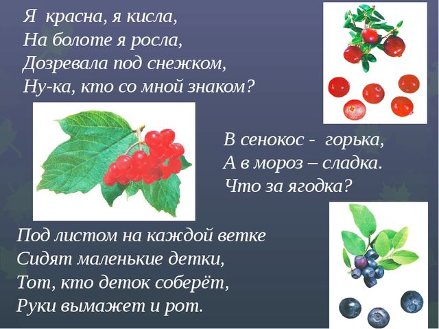 Презентация "Викторина "Знатоки природы"