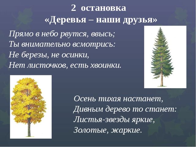 Презентация "Викторина "Знатоки природы"
