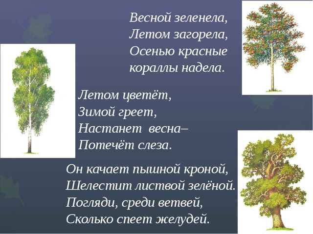 Презентация "Викторина "Знатоки природы"