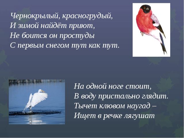 Презентация "Викторина "Знатоки природы"