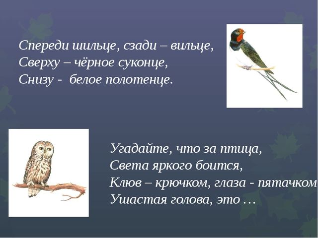 Презентация "Викторина "Знатоки природы"