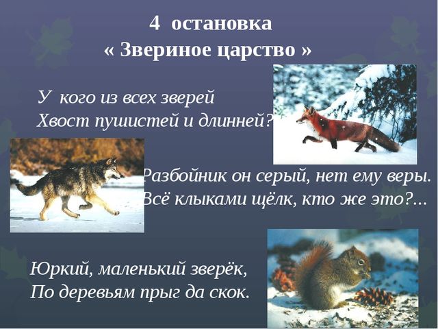 Презентация "Викторина "Знатоки природы"