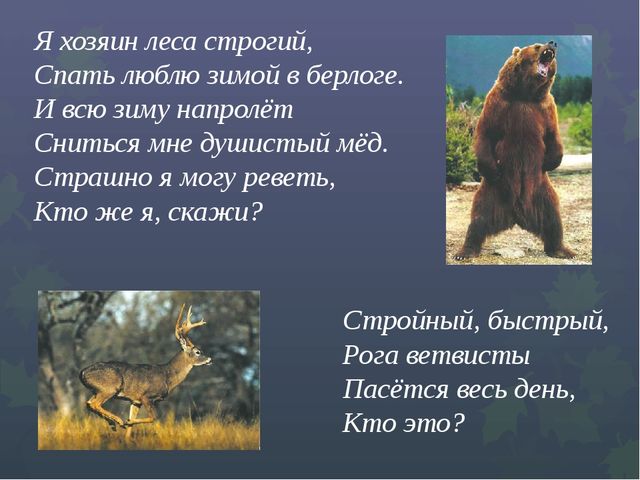Презентация "Викторина "Знатоки природы"