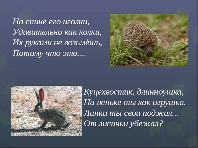 Презентация "Викторина "Знатоки природы"