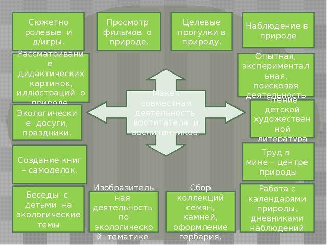 Презентация. Экологичекое воспитание дошкольников в рамках ФГОС.