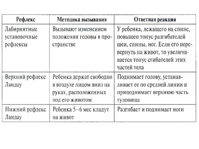 Презентация "Анатомо-физиологические особенности нервной системы у детей. Нервно-психическое развитие."