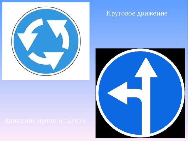 Цифровой образовательный ресурс "Путешествие в страну дорожных знаков"