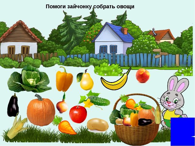 Интерактивная игра "Заюшкин урожай" рекомендован для детей младшего дошкольного возраста. Актуален в процессе изучения темы "Овощи и фрукты".