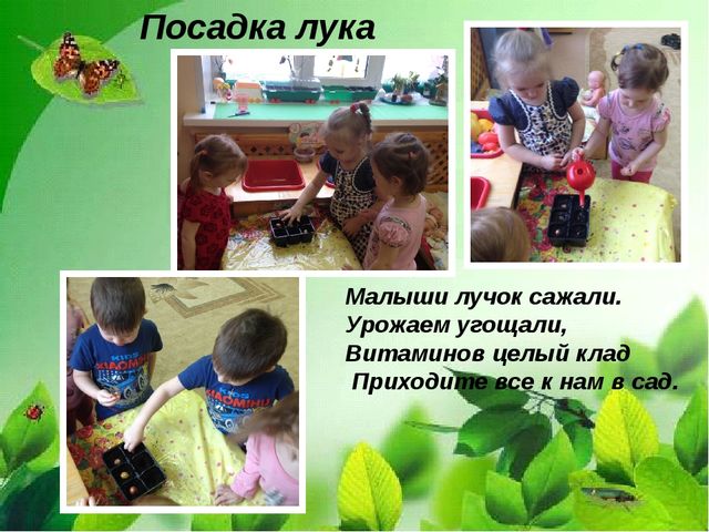 Презентация "Веселый огород на окне" в средней группе.