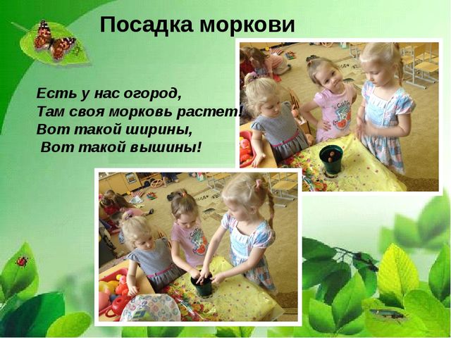 Презентация "Веселый огород на окне" в средней группе.
