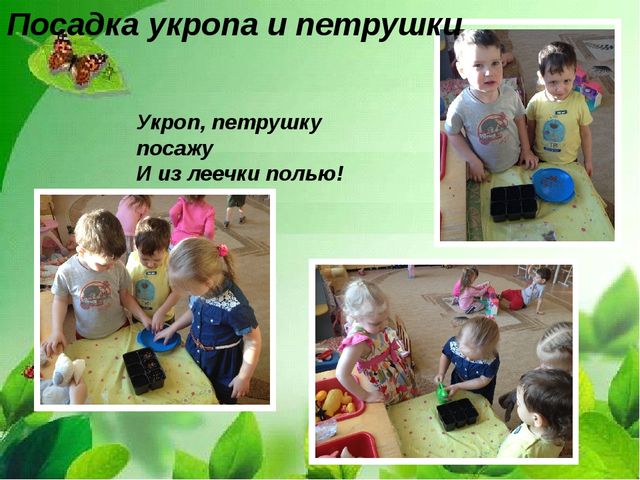 Презентация "Веселый огород на окне" в средней группе.