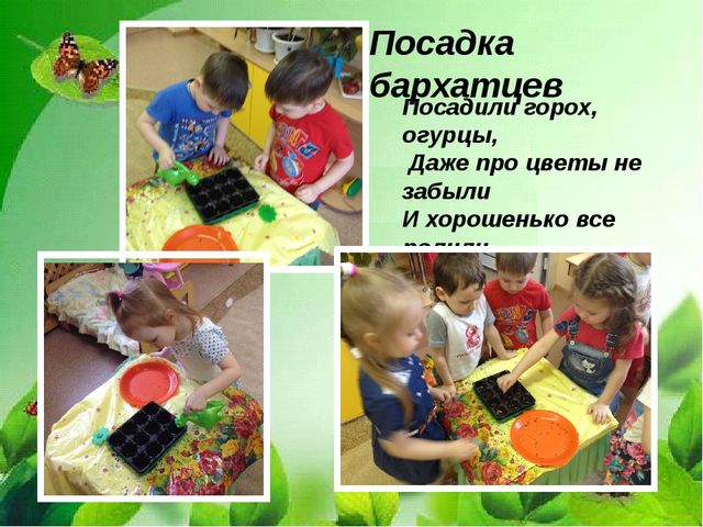 Презентация "Веселый огород на окне" в средней группе.