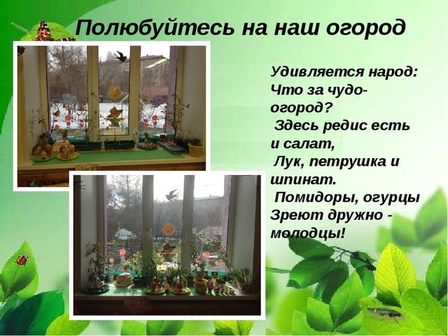 Презентация "Веселый огород на окне" в средней группе.