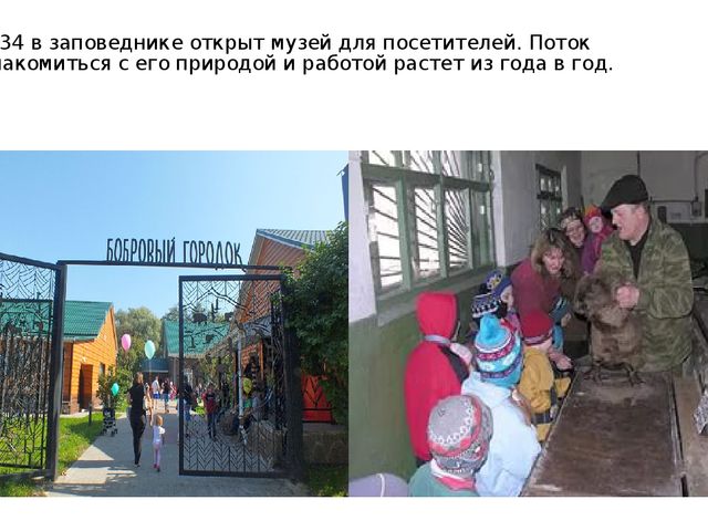 Презентация "Воронежский государственный заповедник".