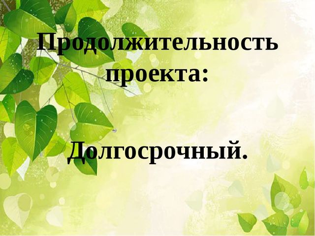 Презентация проект. "Мой дом Южный Урал"