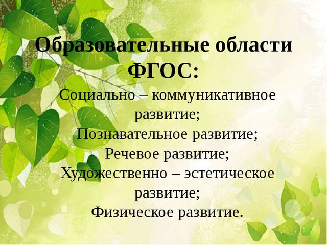 Презентация проект. "Мой дом Южный Урал"