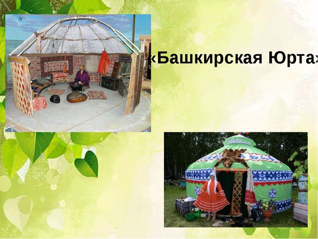 Презентация проект. "Мой дом Южный Урал"