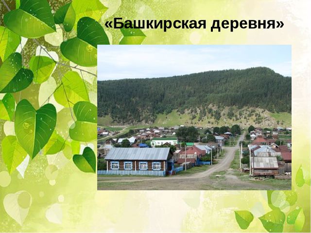 Презентация проект. "Мой дом Южный Урал"