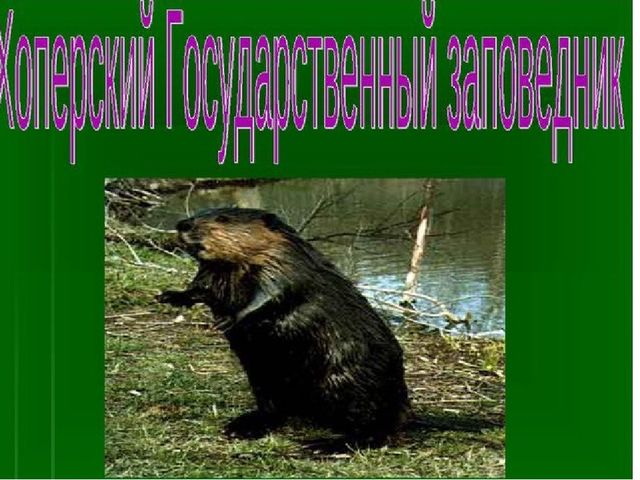 Презентация к занятию "Заповедники России"