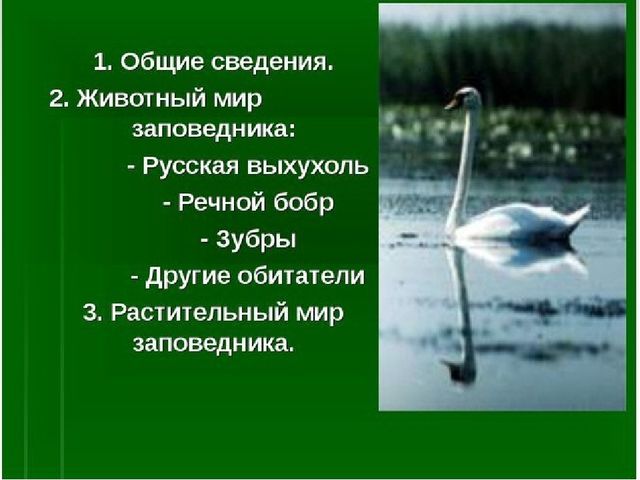 Презентация к занятию "Заповедники России"