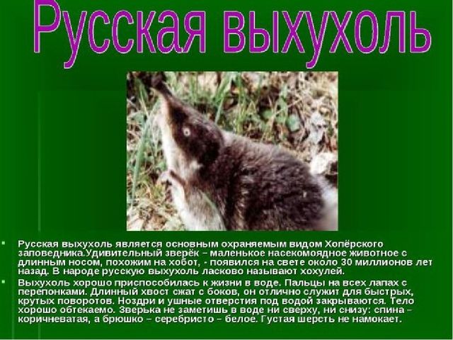 Презентация к занятию "Заповедники России"