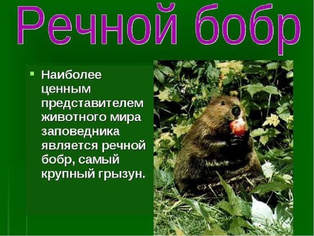 Презентация к занятию "Заповедники России"