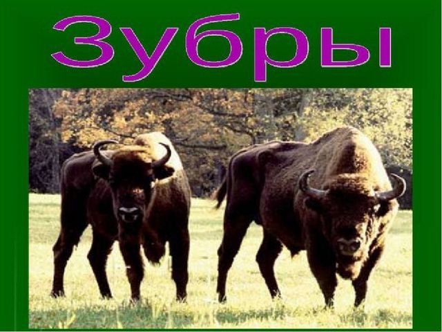 Презентация к занятию "Заповедники России"
