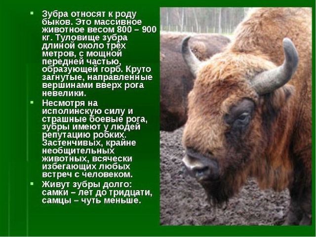 Презентация к занятию "Заповедники России"