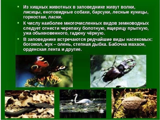 Презентация к занятию "Заповедники России"