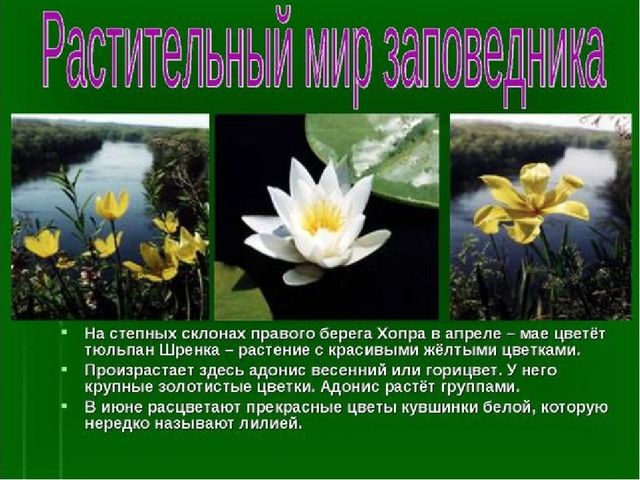 Презентация к занятию "Заповедники России"