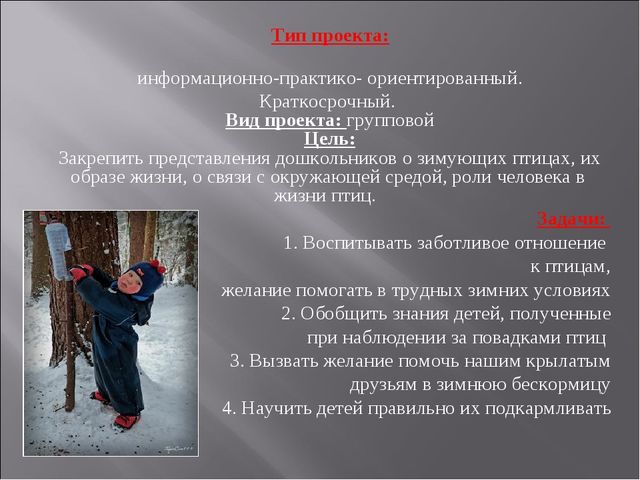 Экологический проект "Покормите птиц зимой" для детей старшего дошкольного возраста
