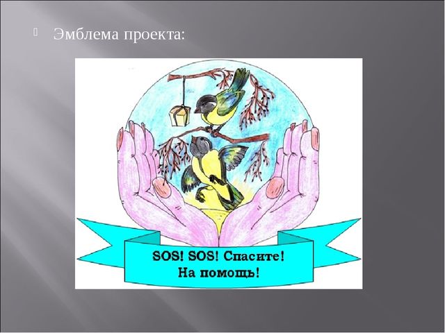 Экологический проект "Покормите птиц зимой" для детей старшего дошкольного возраста