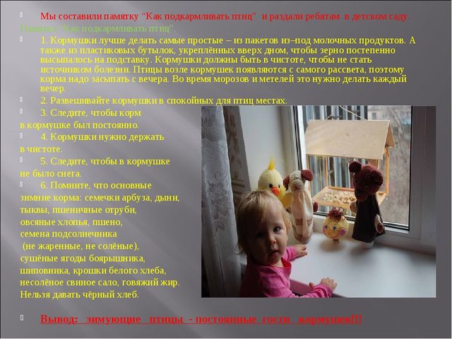 Экологический проект "Покормите птиц зимой" для детей старшего дошкольного возраста