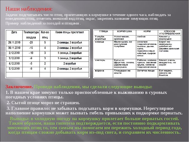 Экологический проект "Покормите птиц зимой" для детей старшего дошкольного возраста