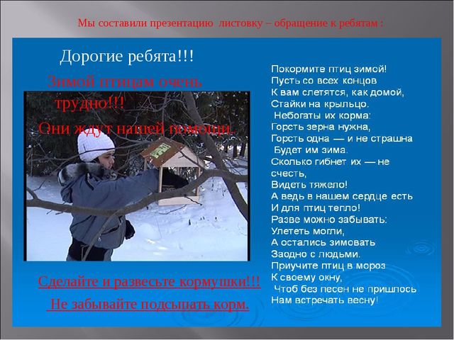 Экологический проект "Покормите птиц зимой" для детей старшего дошкольного возраста