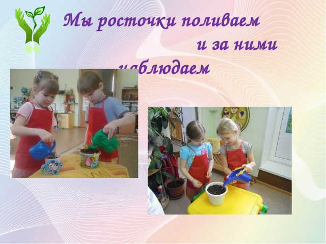 Презентация Проект "Секреты наших растений" в старшей группе