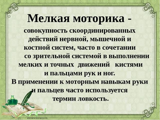 Презентация на тему: "Развитие мелкой моторики рук у дошкольников"